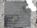 image of grave number 781274